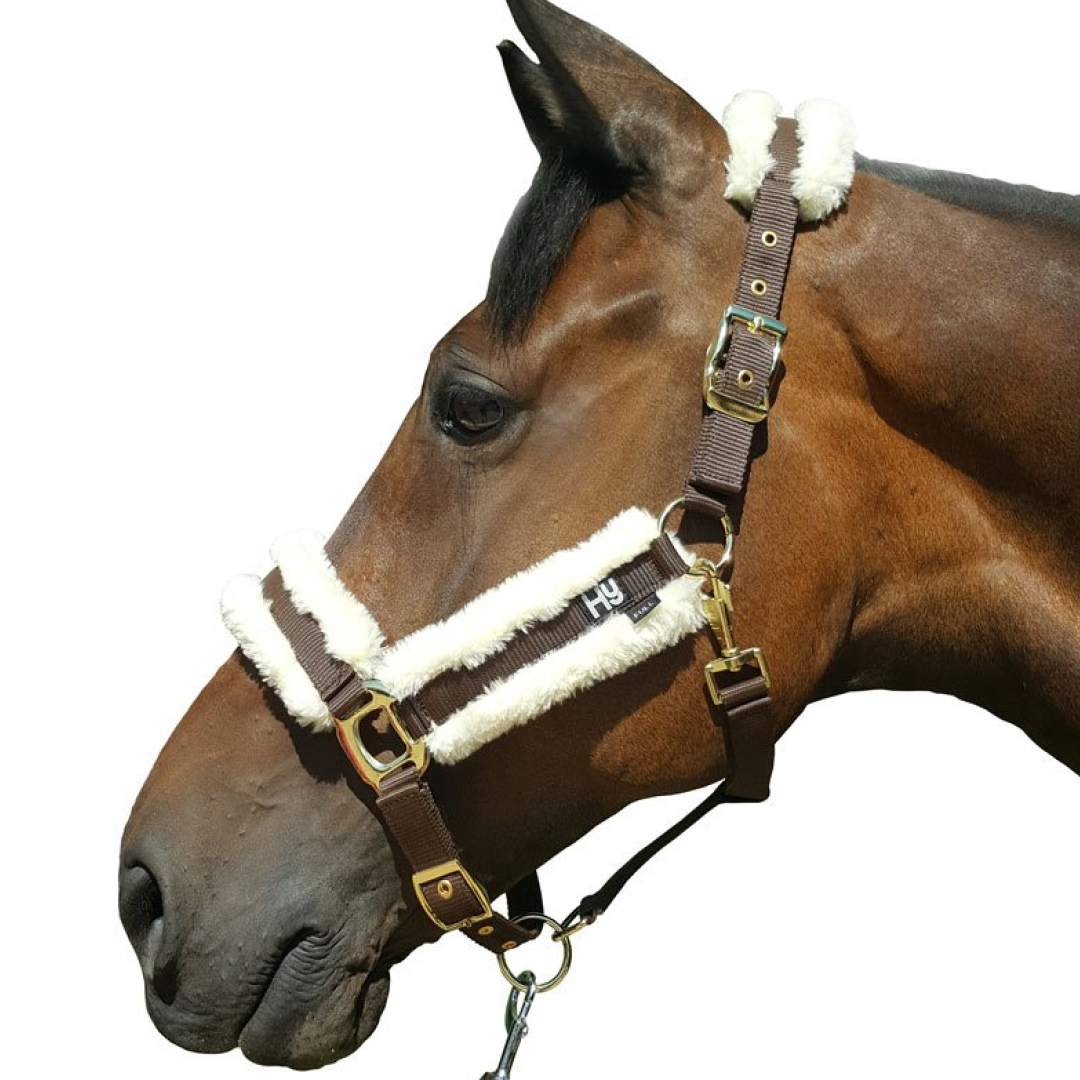HY Sheepskin Head Collar