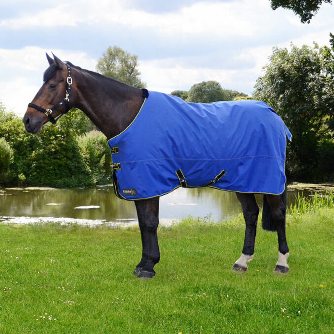StormX Original 100g Turnout Rug
