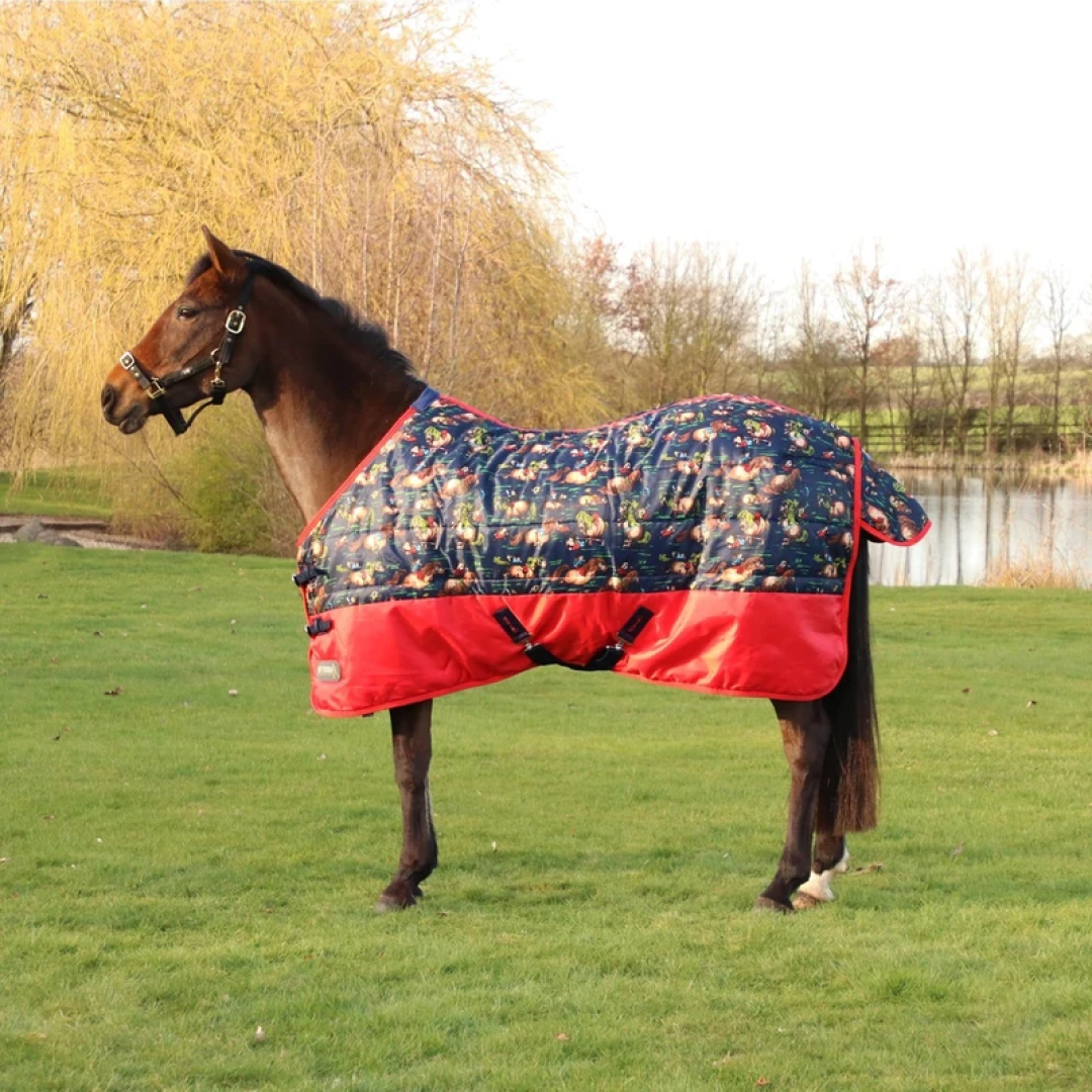 StormX Original 100g Thelwell Collection Stable Rug