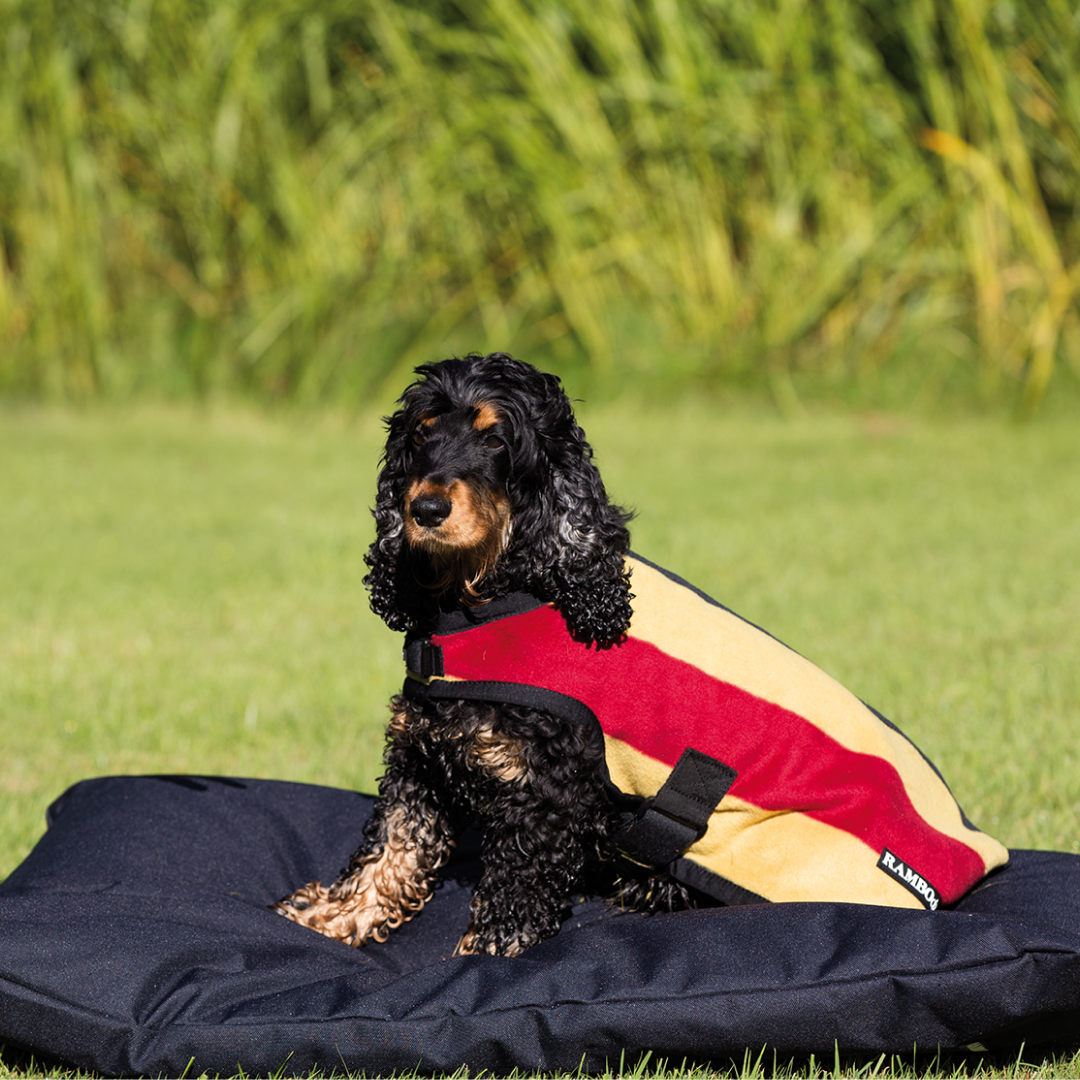 Horseware Ireland Rambo Deluxe Dog Rug 200g