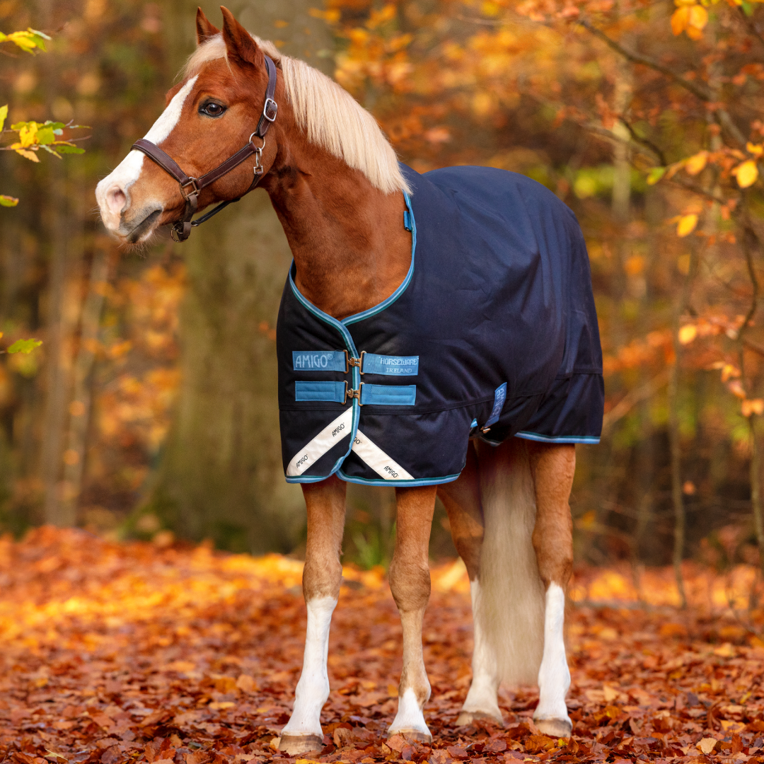 Horseware Ireland Amigo Bravo Original 12 Pony Medium 250g