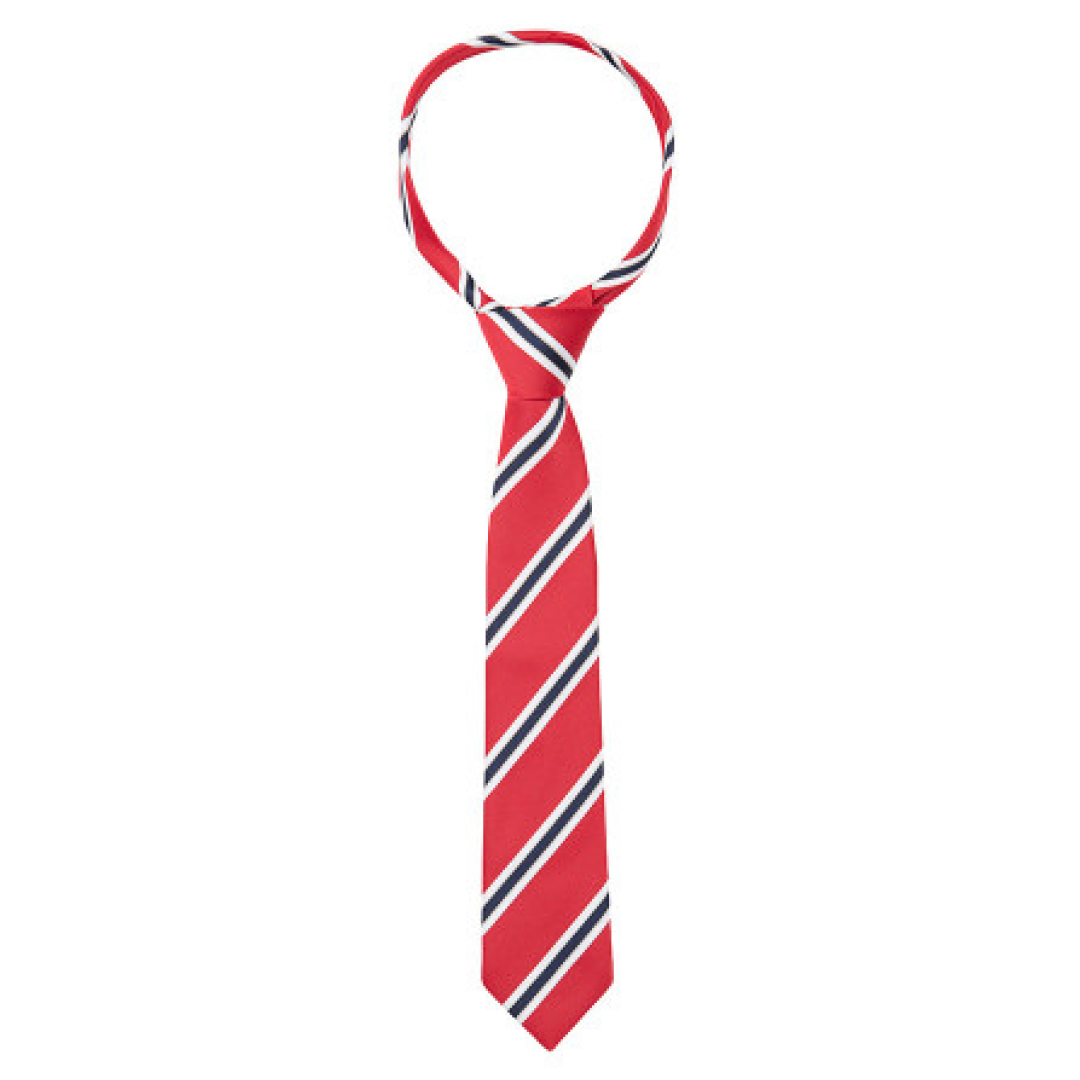 Supreme Products Show Tie