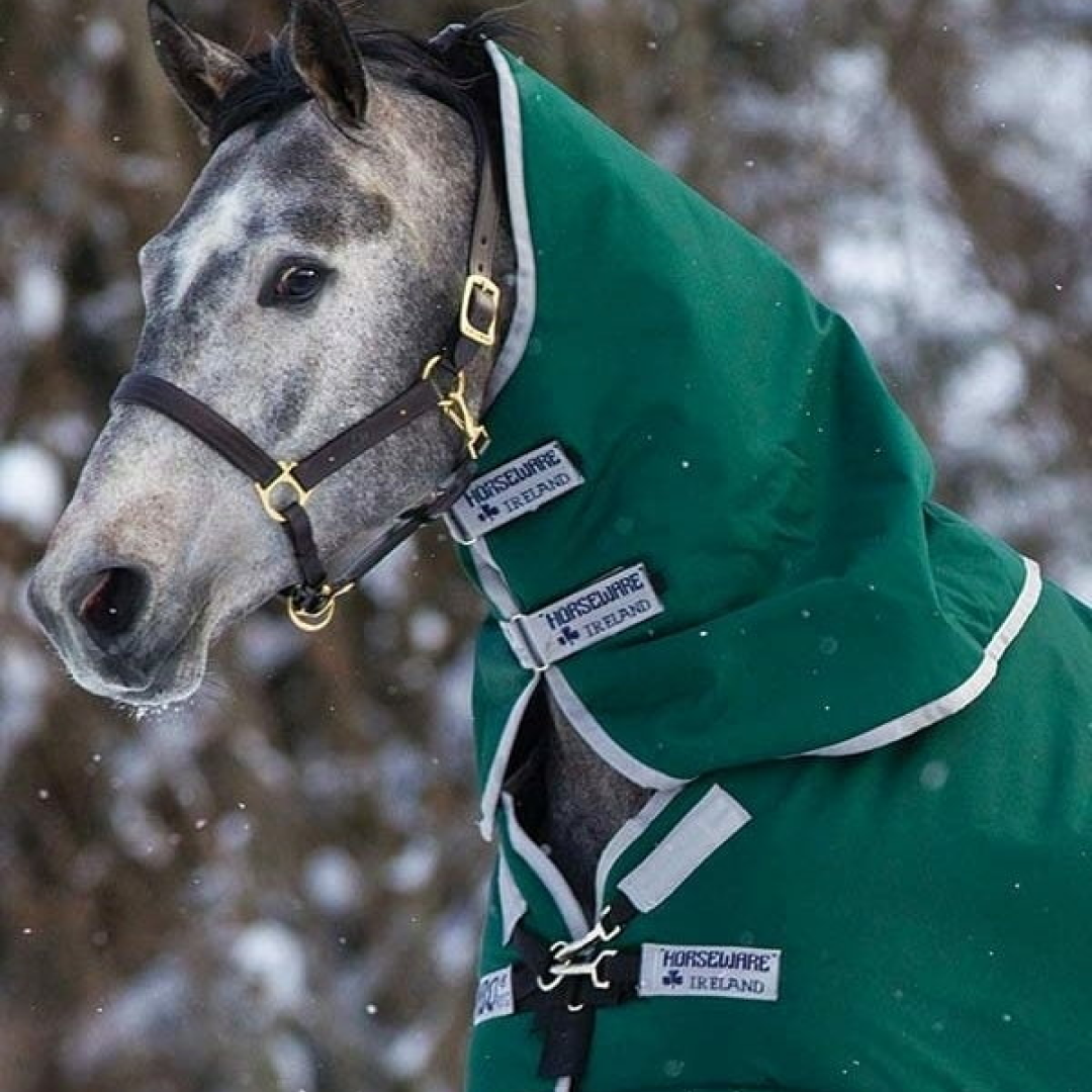 Horseware Ireland Rambo Original Hood 250g