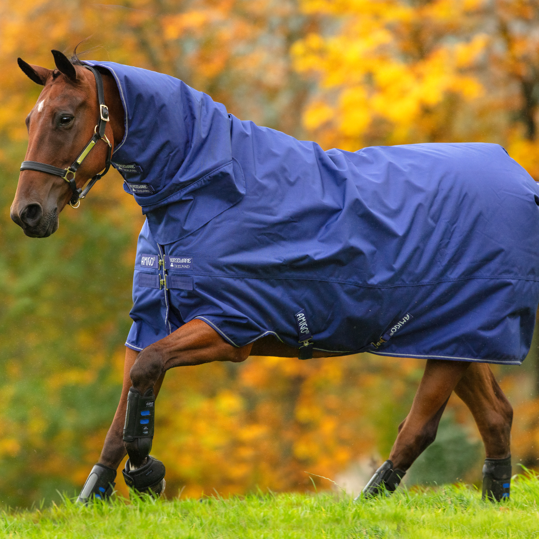 Horseware Ireland Amigo Hero 900 All-In-One Turnout 200g
