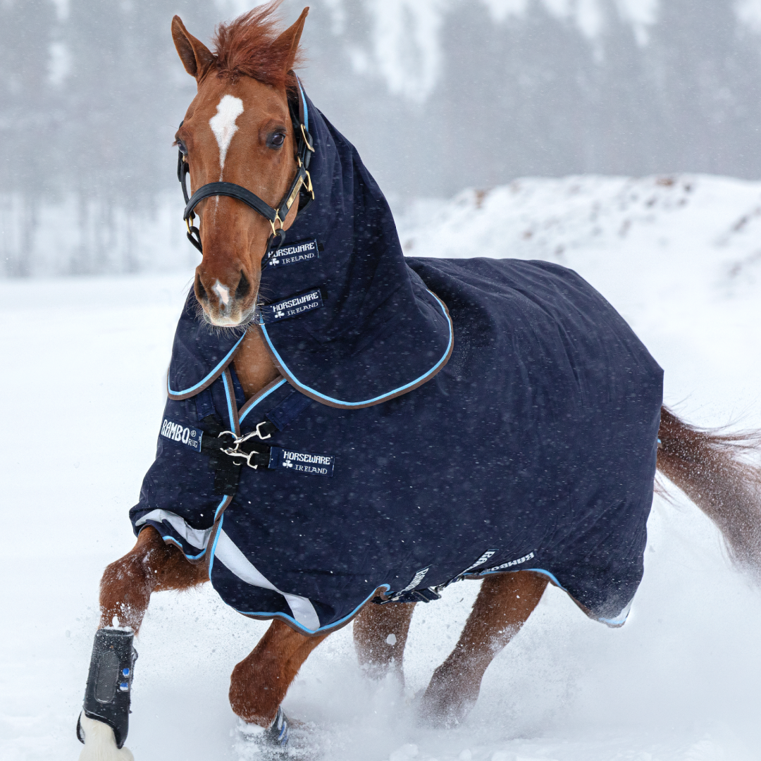 Horseware Ireland Rambo Duo