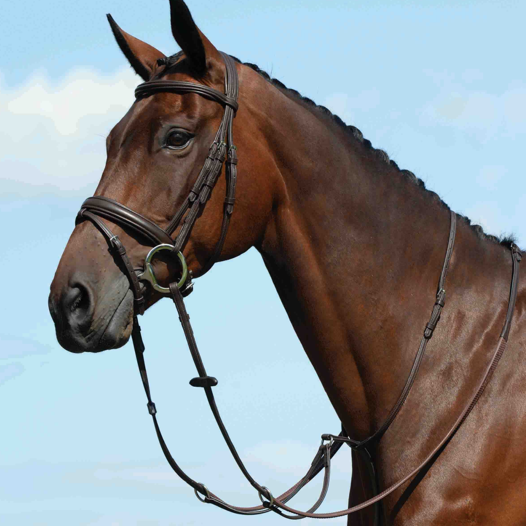Collegiate Syntovia+ Flat Running Plain Martingale