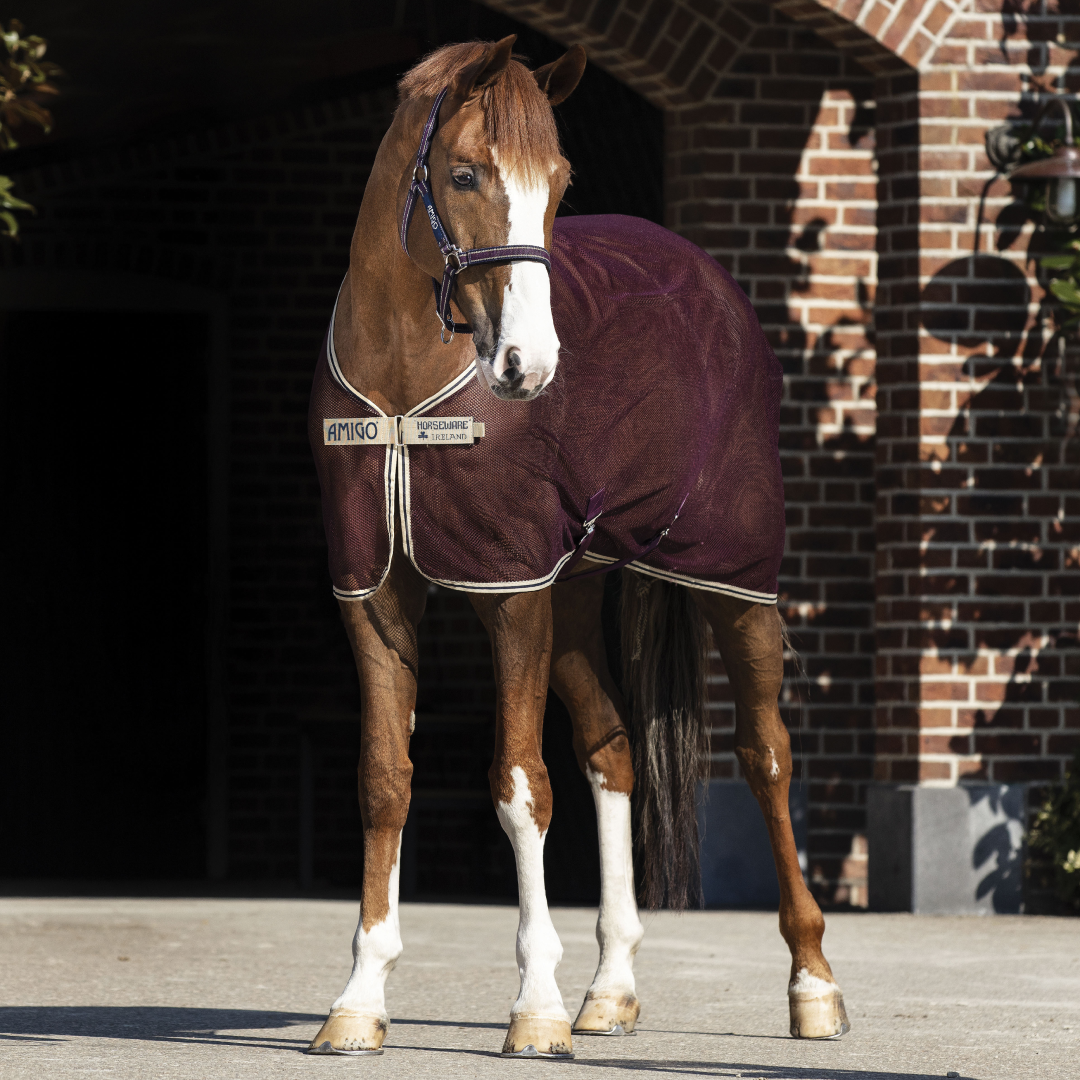 Horseware Ireland Amigo Net Cooler