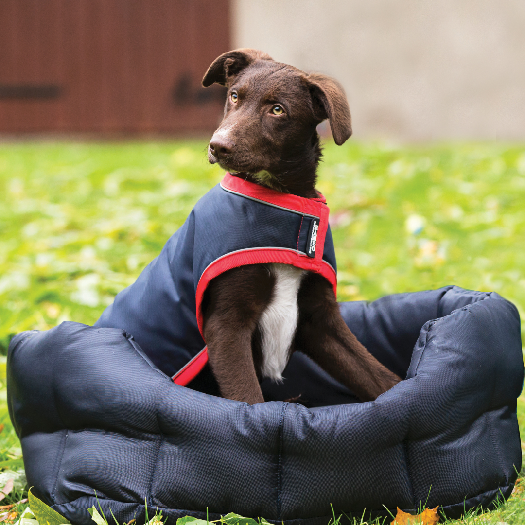 Horseware Ireland Rambo Waterproof Dog Rug 100g