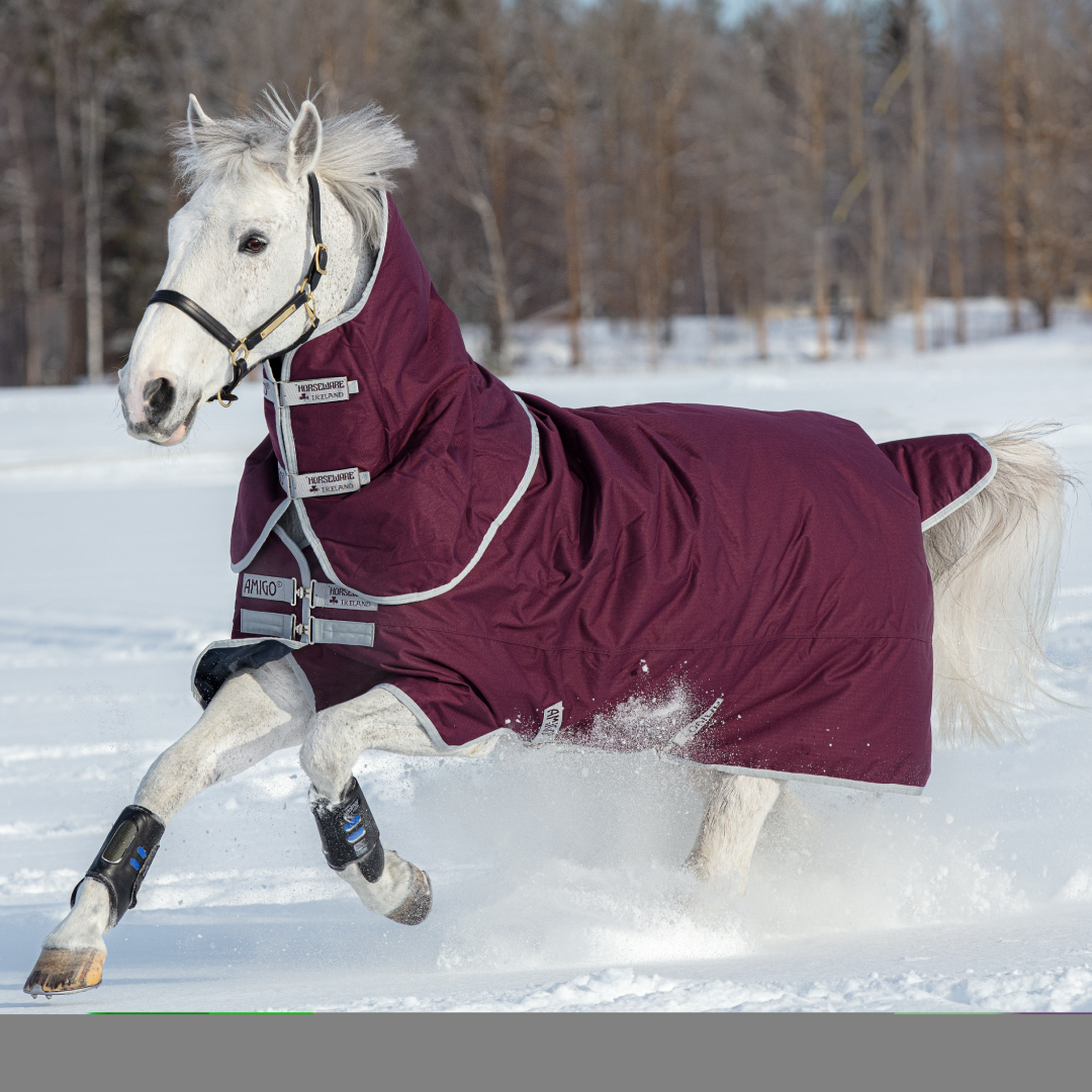 Horseware Ireland Amigo Hero 600D With Ripstop Plus 200g