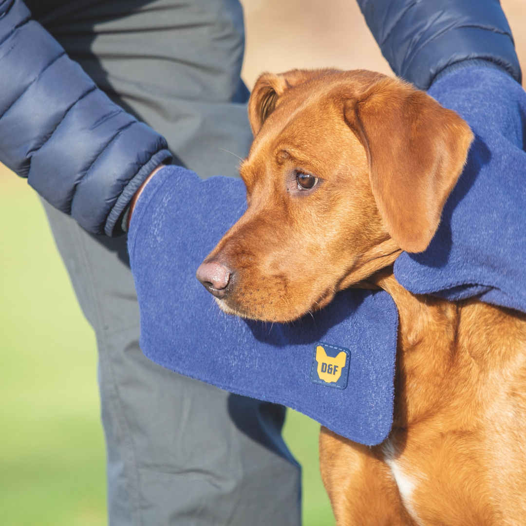 Shires Digby & Fox Dog Towel Glove