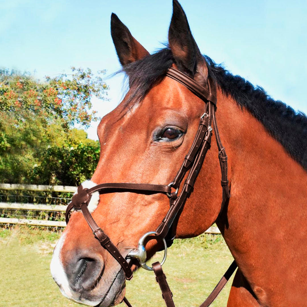 JHL Leather Grackle Bridle