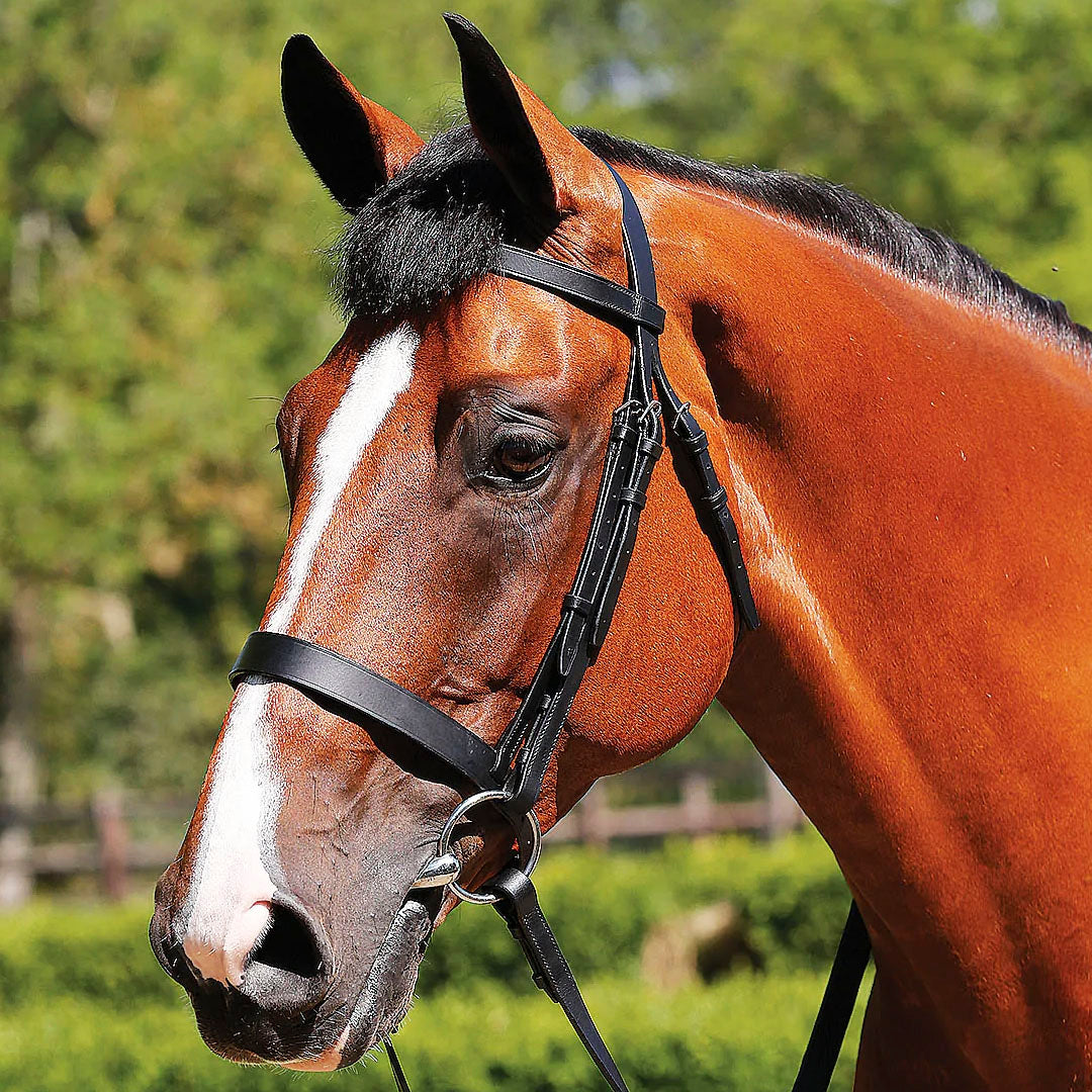 JHL Essential Hunter Bridle