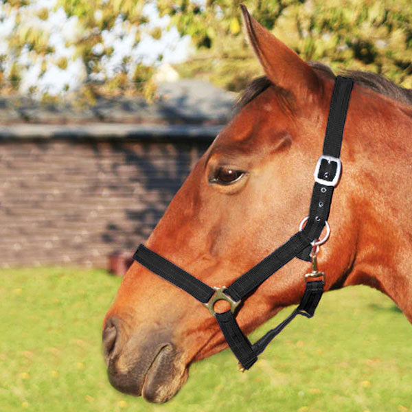 JHL Standard Headcollar