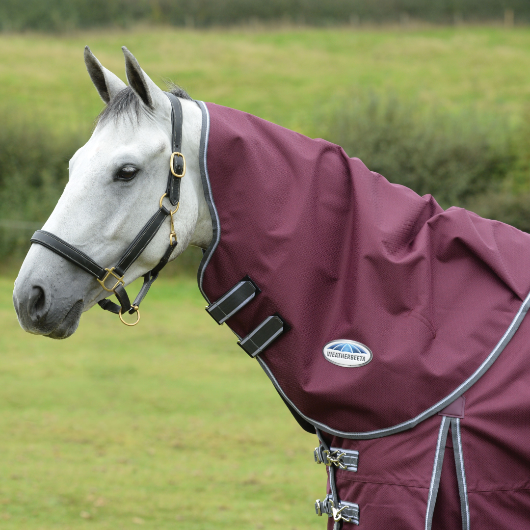 Weatherbeeta Comfitec Plus Dynamic II Neck Rug Medium