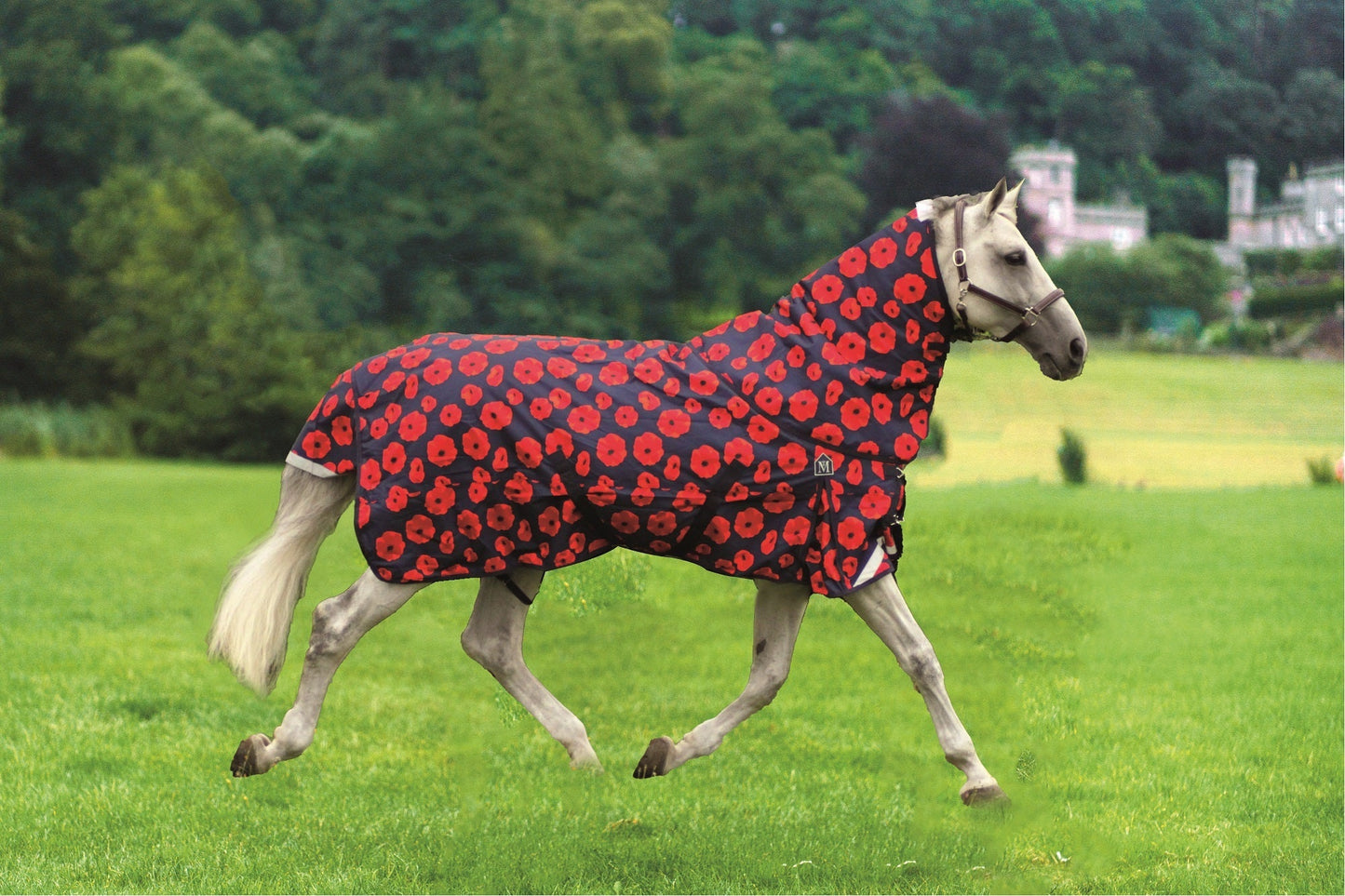 Mark Todd Mediumweight “Poppy Appeal” Turnout Rug Special Edition