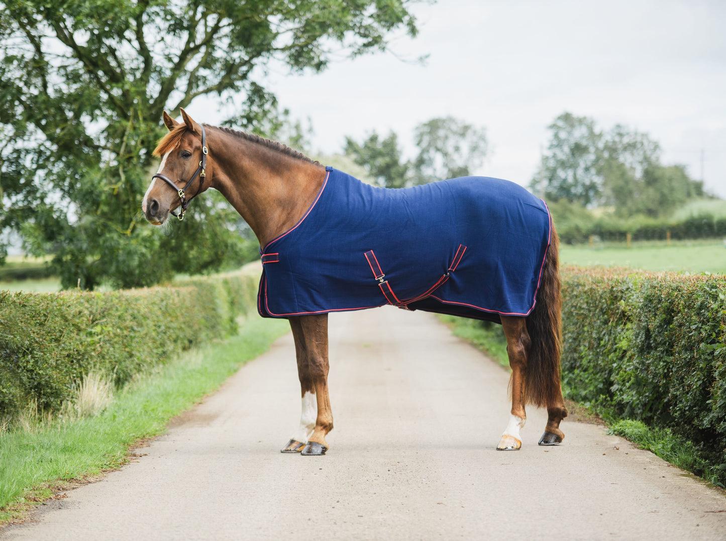 Mackey Equisential Fleece Cooler