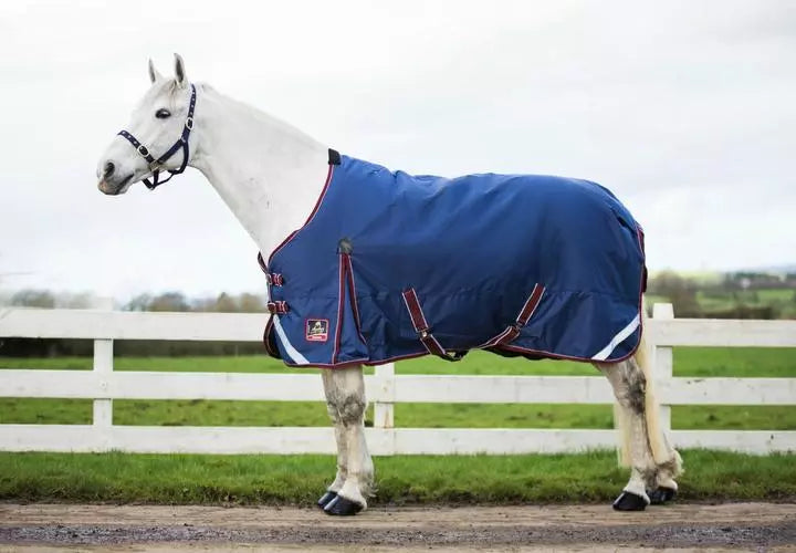 Mackey Keadeen Standard Neck Turnout Rug