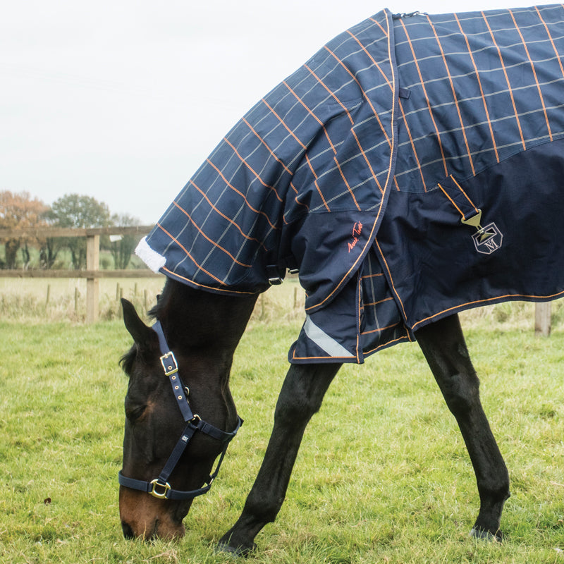 Mark Todd Medium Weight Neck Cover