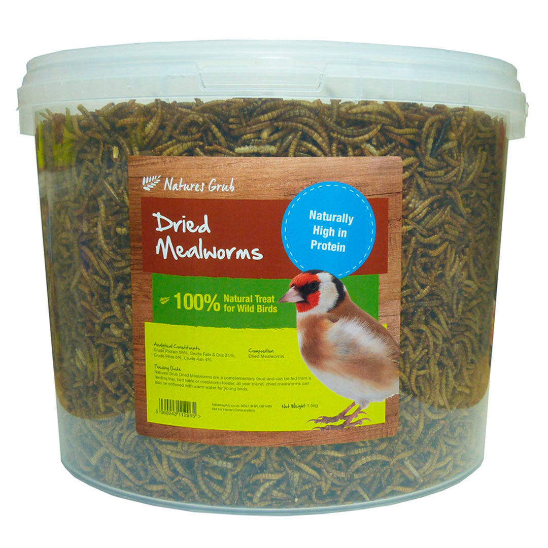 Natures Grub Dried Mealworms
