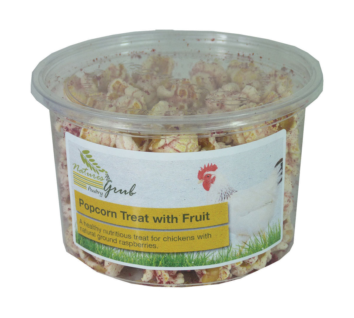Nature's Grub Popcorn Treat with Fruit