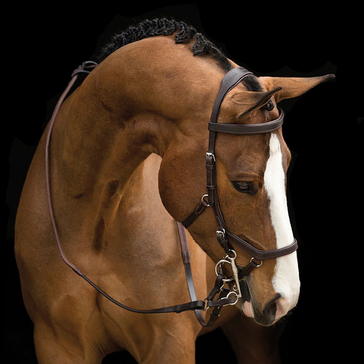 Horseware Irlanda Rambo Micklem Competencia original Bridle sin riendas