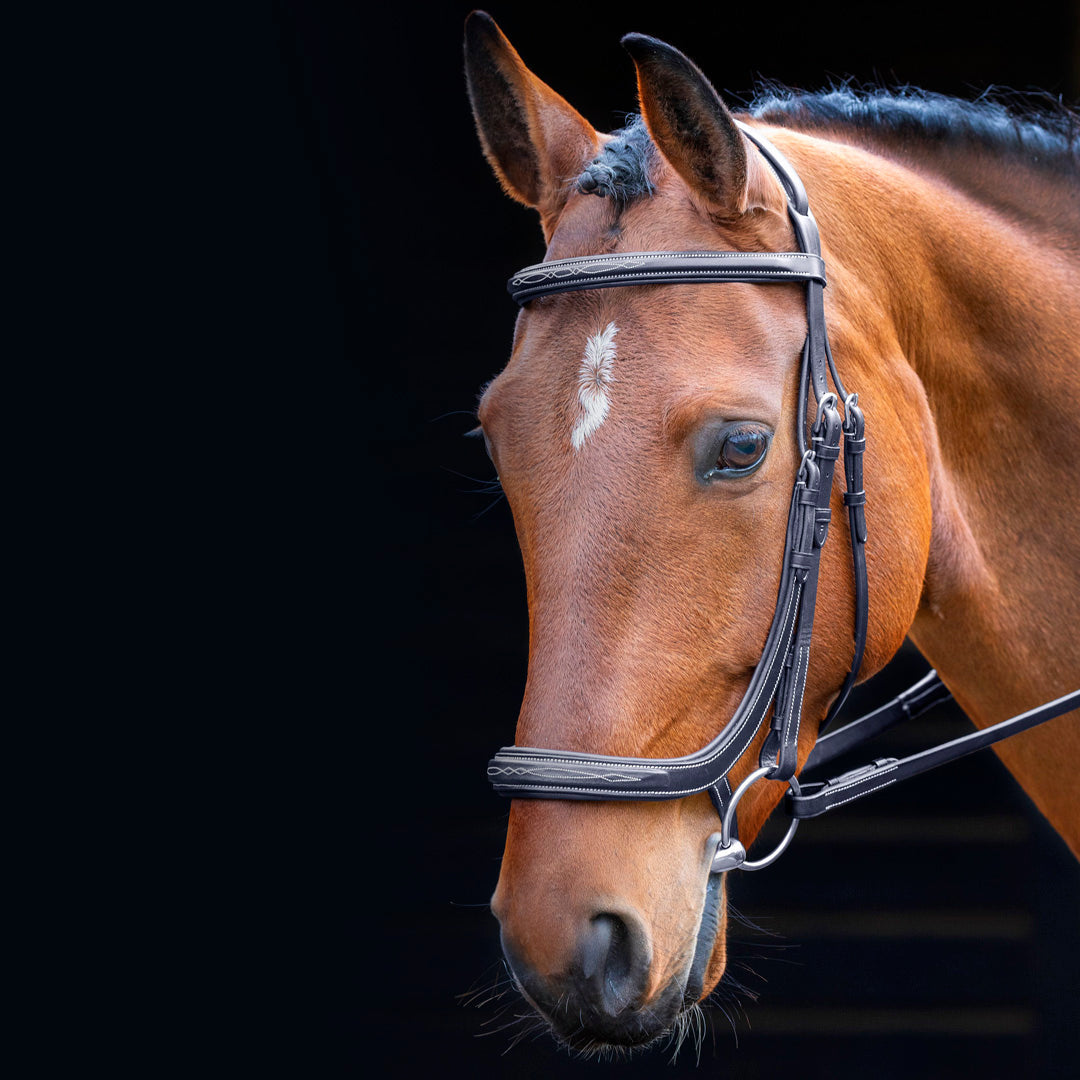 Shires Salisbury Berkeley Anatomical Cavesson Bridle