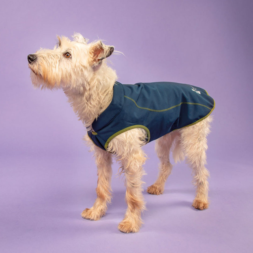 Shires Digby & Fox Softshell Dog Coat