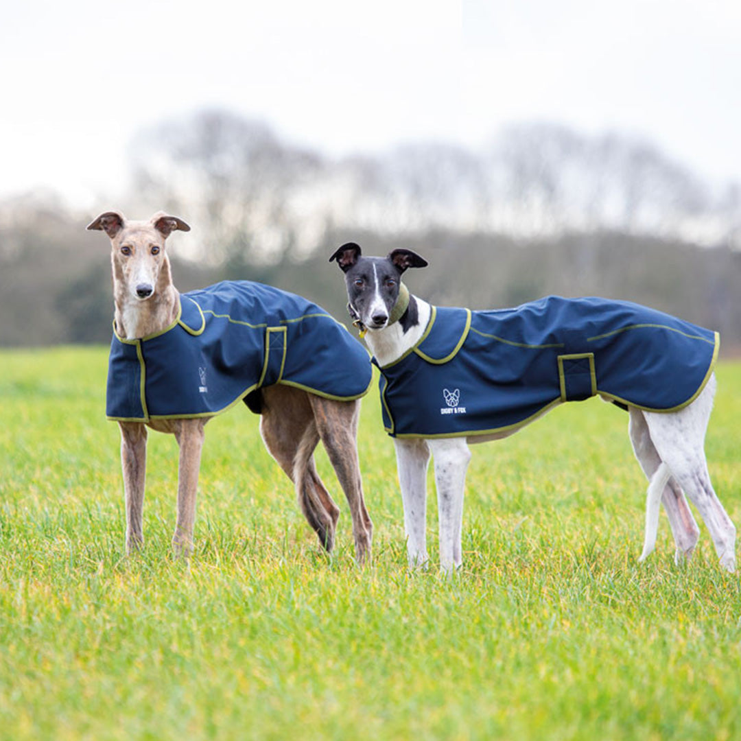 Shires Digby & Fox Softshell Greyhound Coat