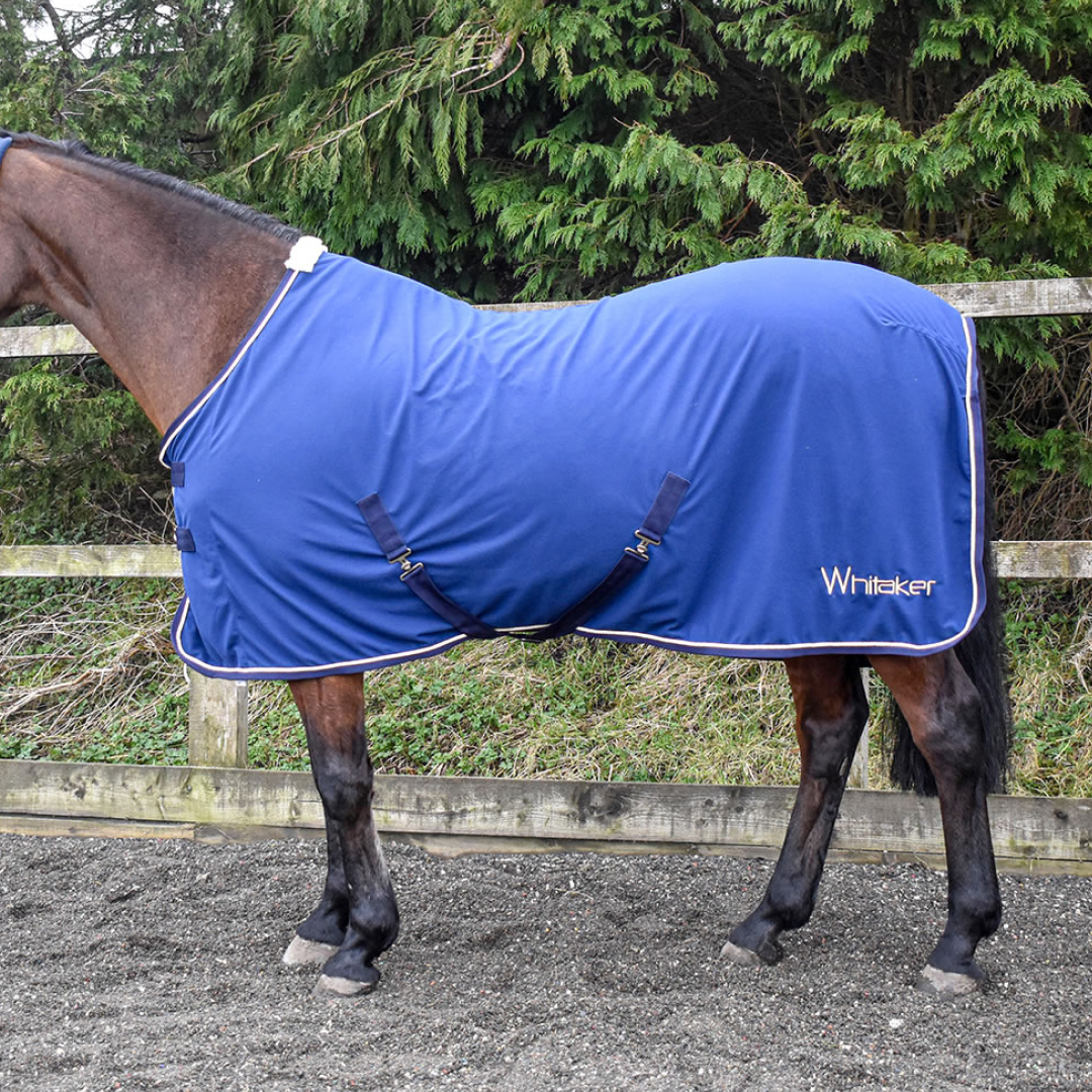 Whitaker Rydal Show Rug