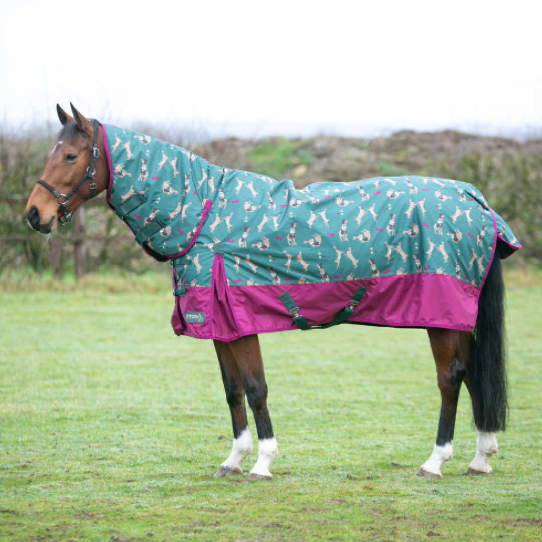 StormX Original Harrison the Hare 200g Combi Turnout Rug