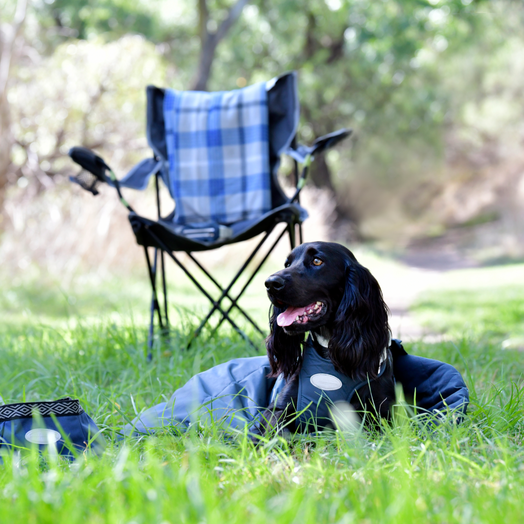 Weatherbeeta Explorer Dog Sleeping Bag
