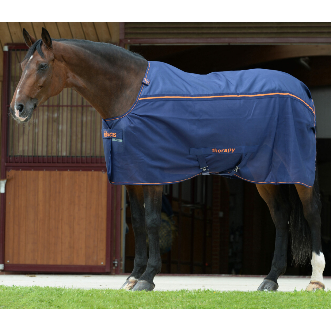 Bucas Therapy Cooler