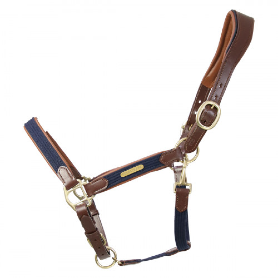 Coldstream Bathan Head Collar