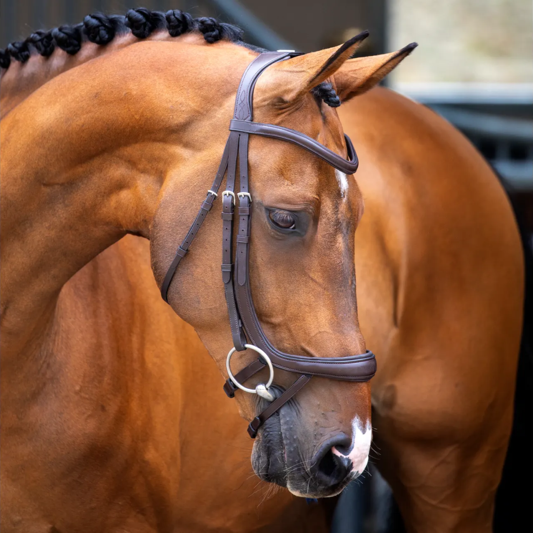 Shires Lusso Ergonomic Curved Flash Bridle