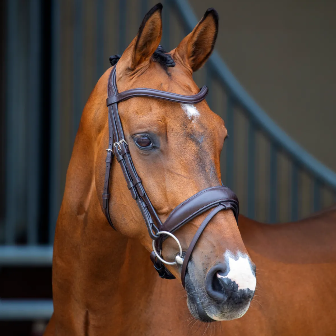Shires Lusso Dressage Flash Bridle