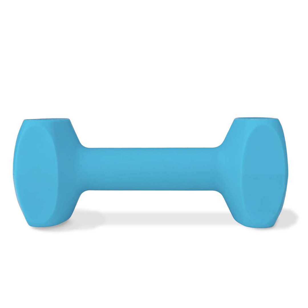 Coachi Training Dumbbell