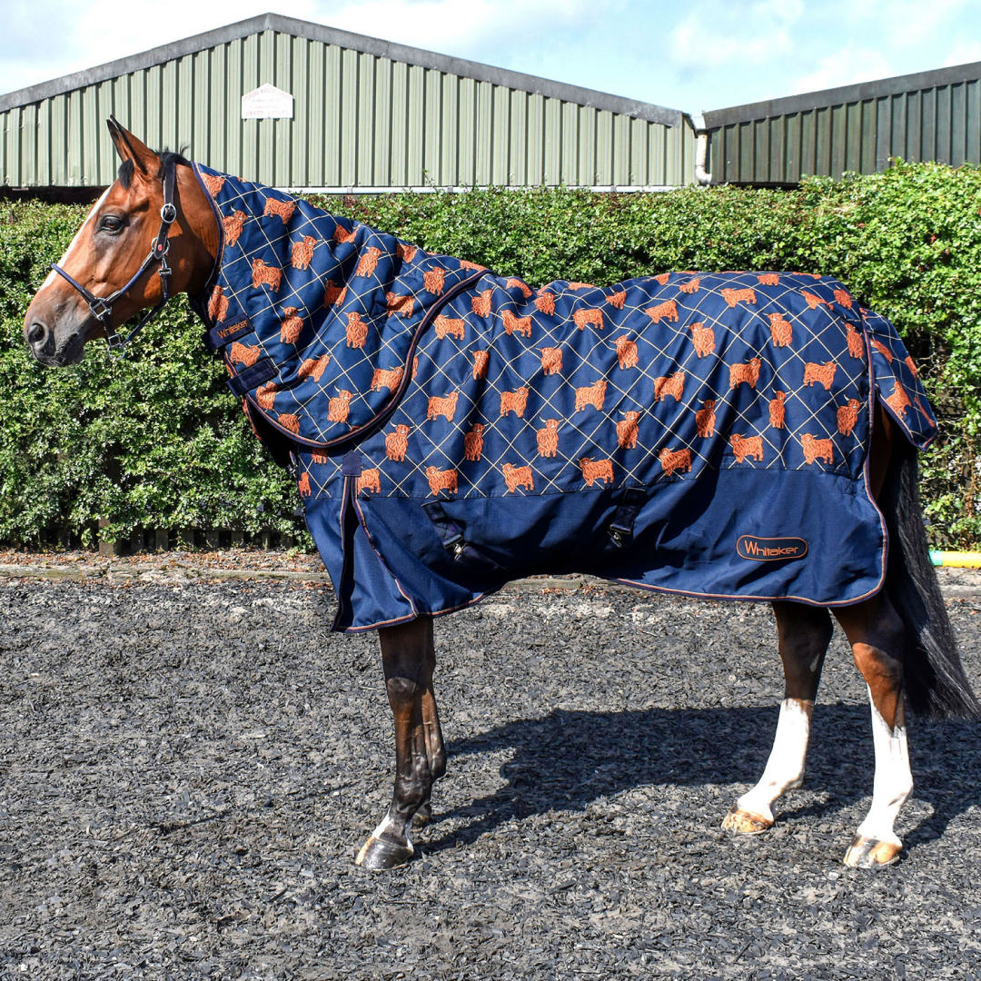Whitaker Angus 170g Combo Turnout Rug