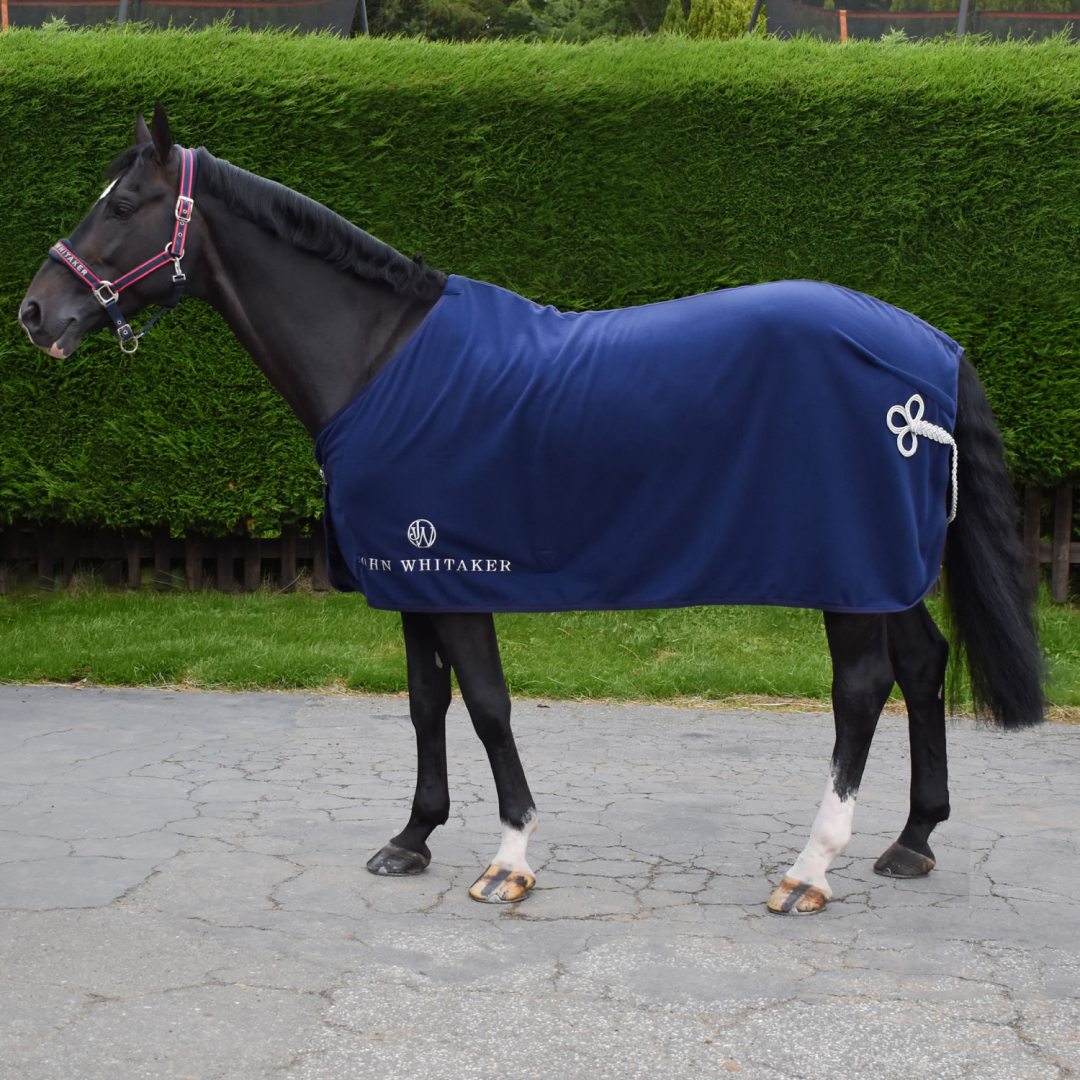 Whitaker Helsinki Show Rug