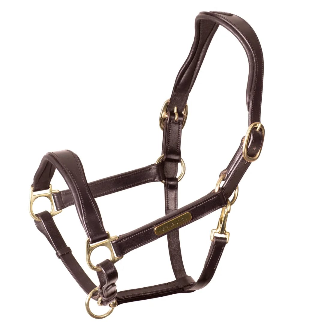 Shires Velociti Rapida Cushioned Leather Heacollar