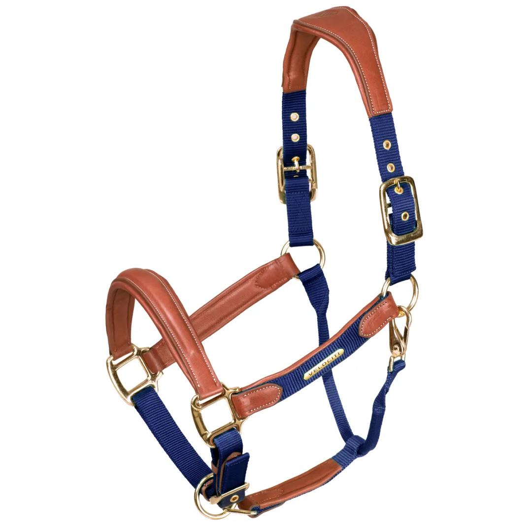 Shires Velociti Lusso Padded Leather Headcollar