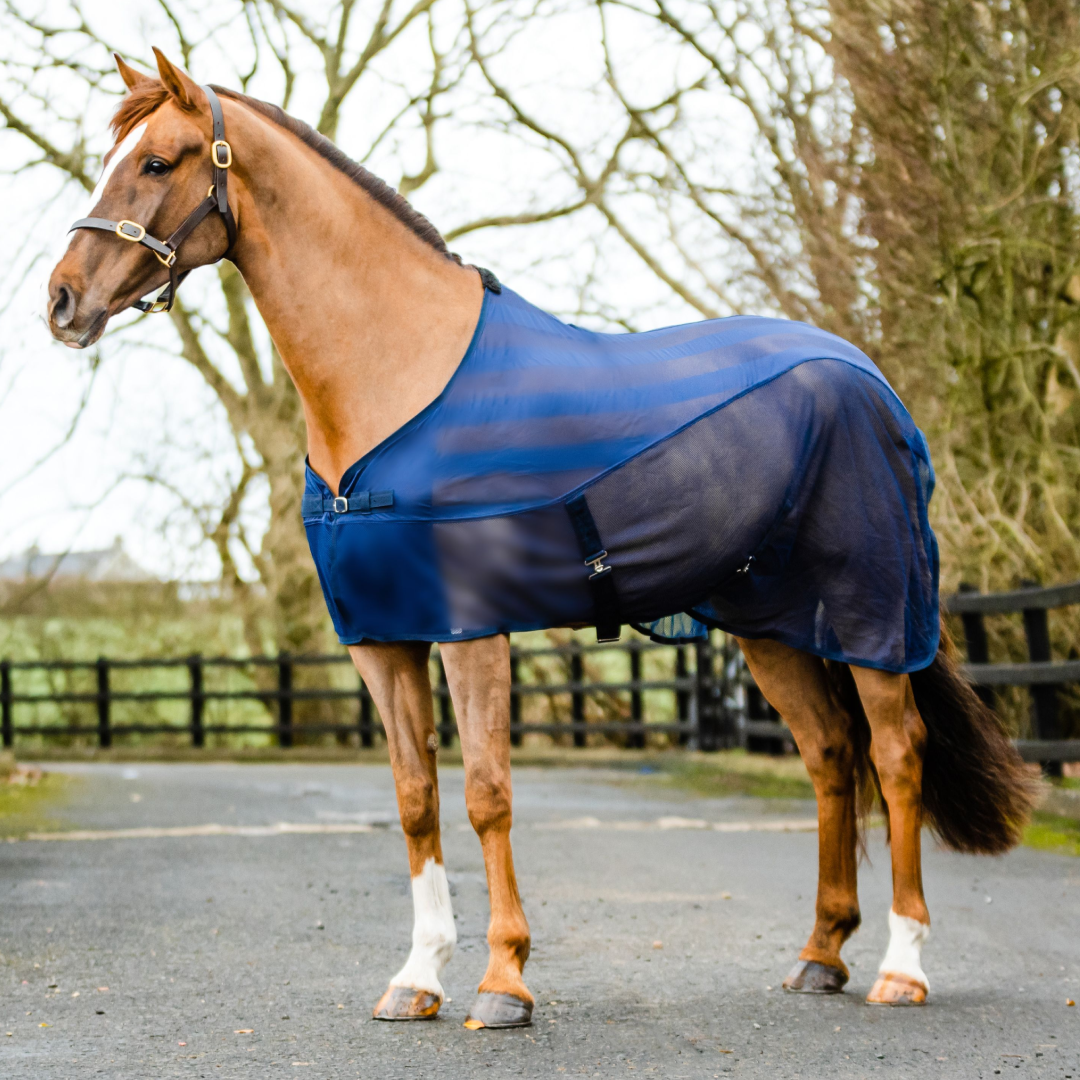 Equi-Sential Net Cooler
