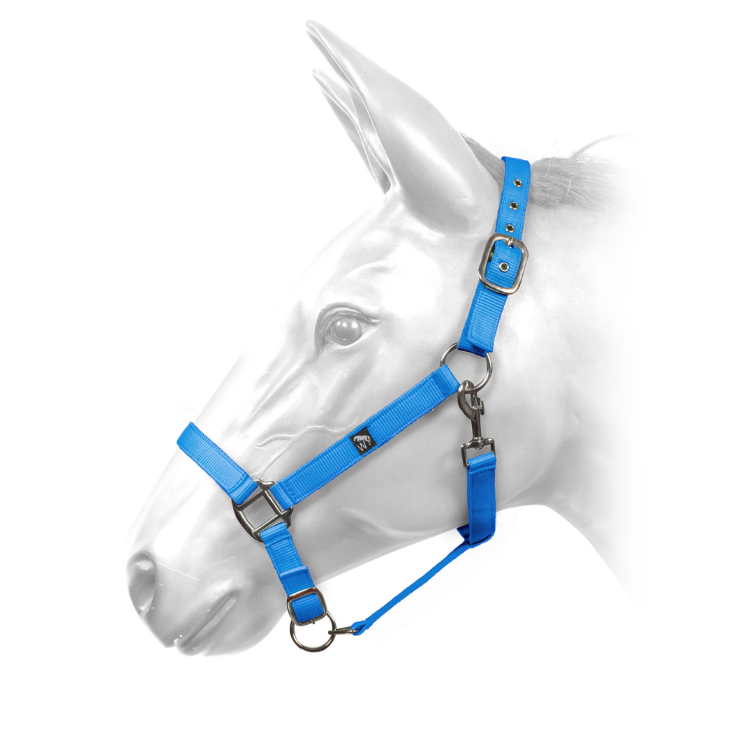 Whitaker W-Horse Harvey Headcollar