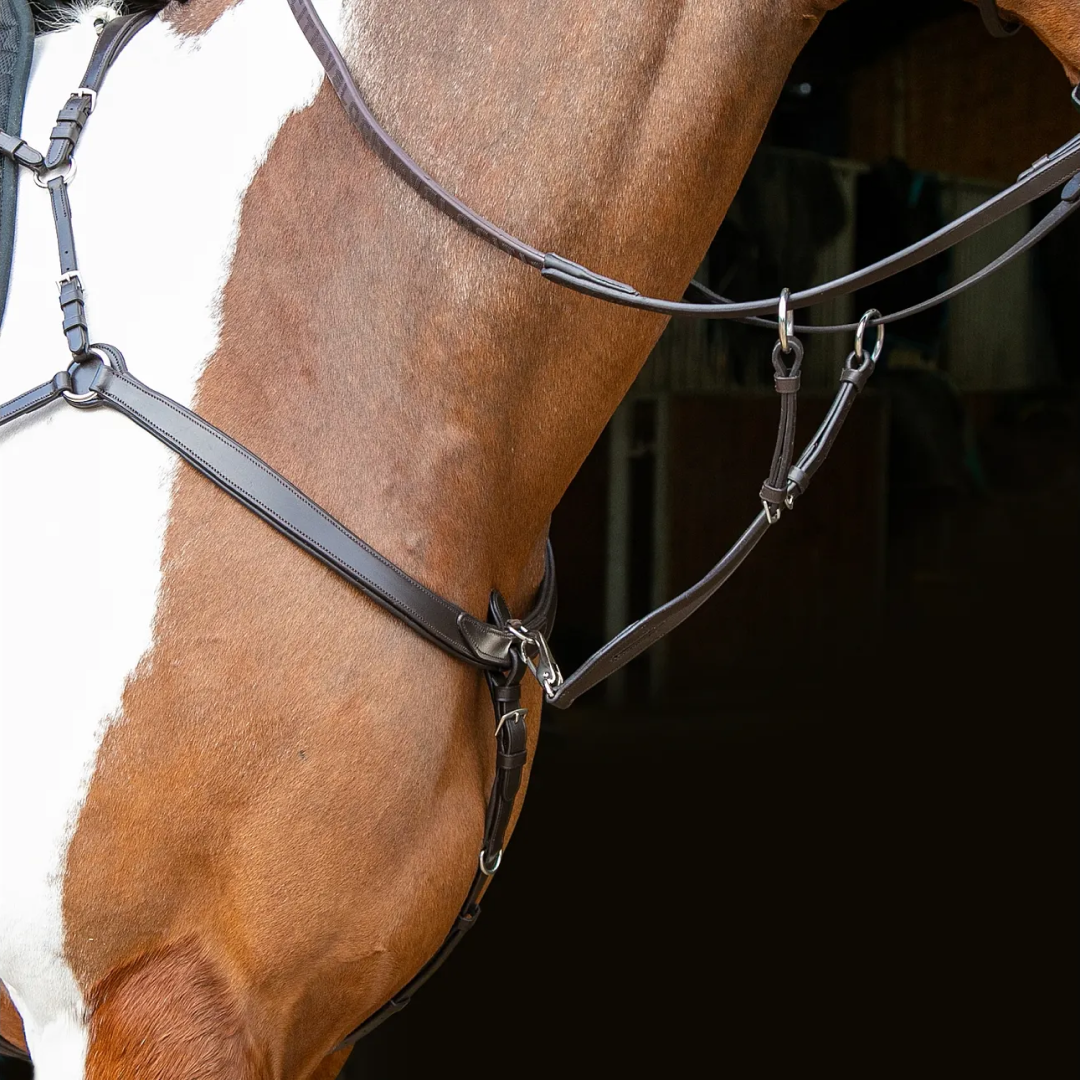 Shires Velociti RAPIDA Ergonomic Breastplate