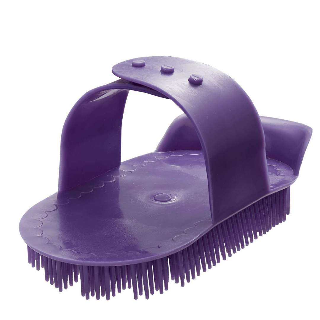 Bitz Plastic Curry Comb