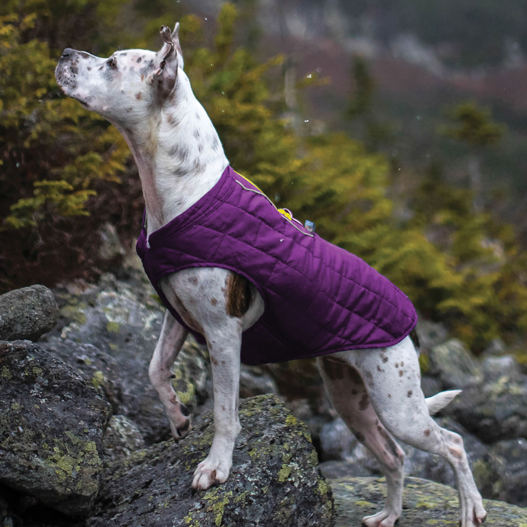Kurgo Loft Jacket