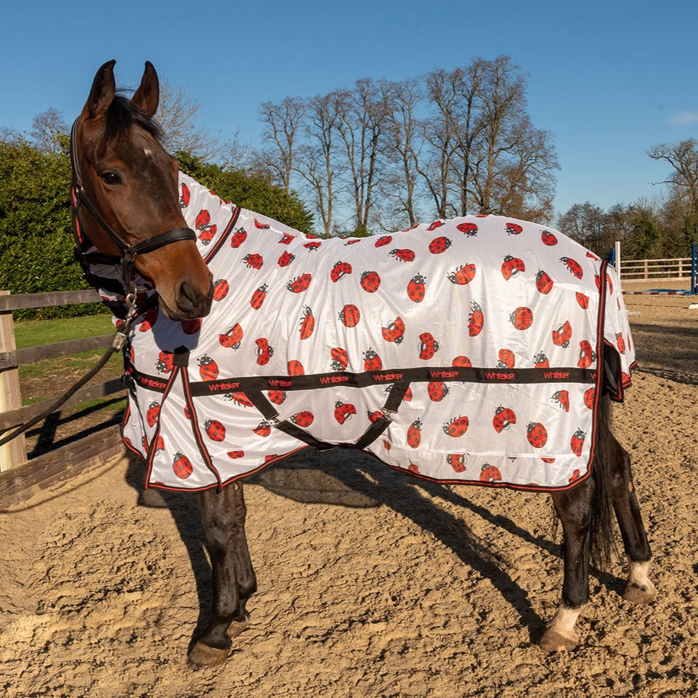 Whitaker Ladybird Fly Rug