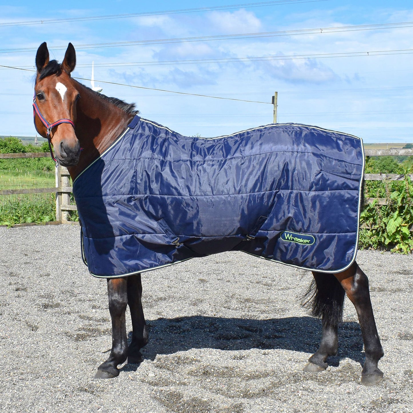 Whitaker Dunford Stable Rug 200g