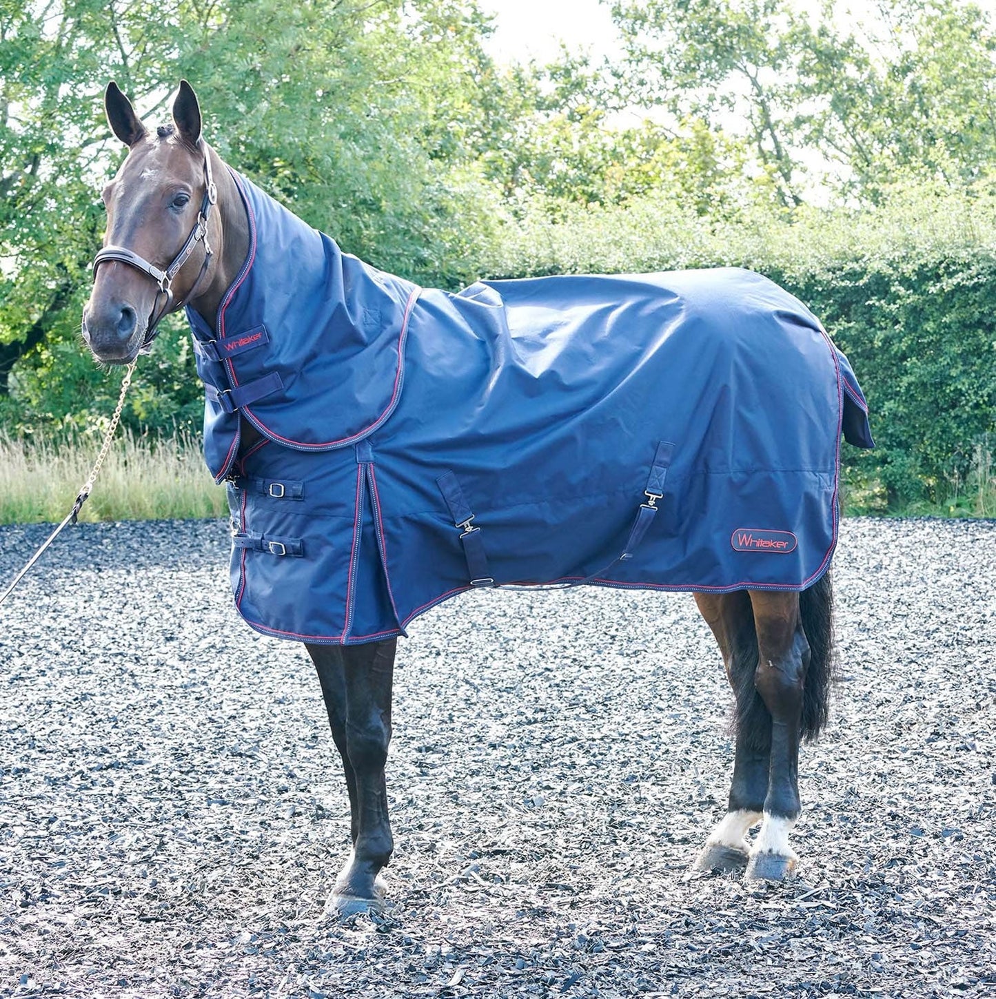 Whitaker Rastrick Turnout Rug Combo 250g