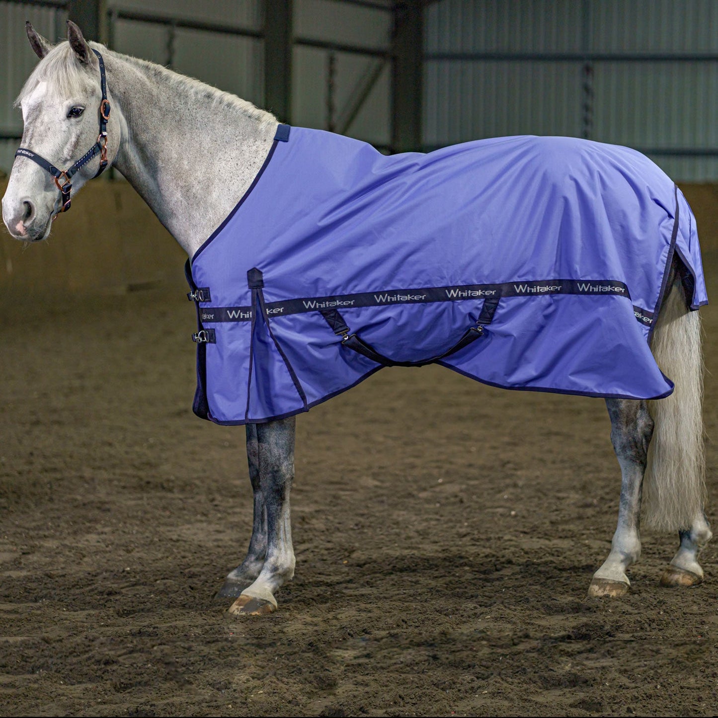 Whitaker Clifton Turnout Rug 0g