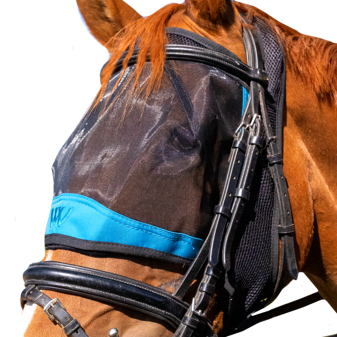 Woof Wear Ride On Fly Mask